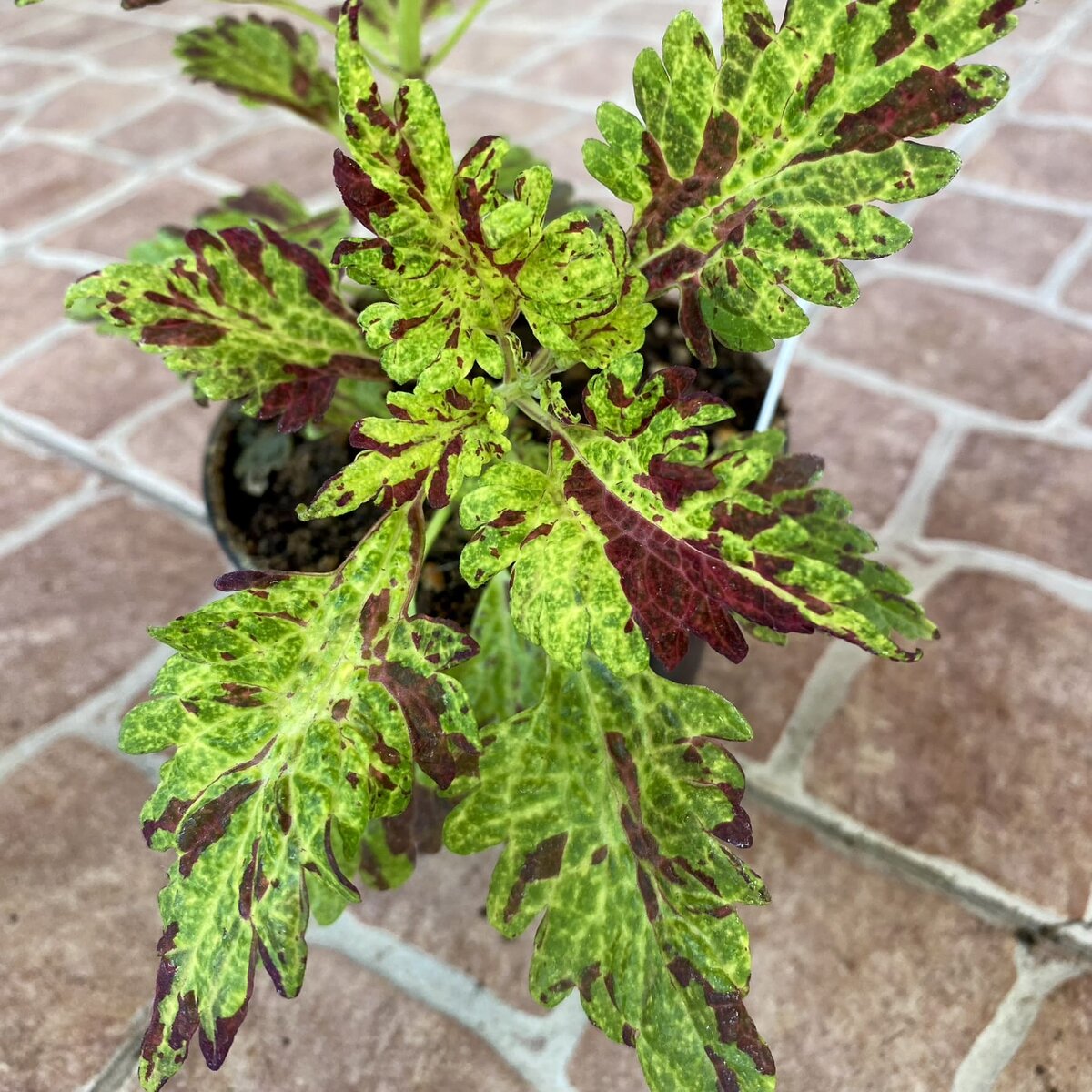 Фото весной