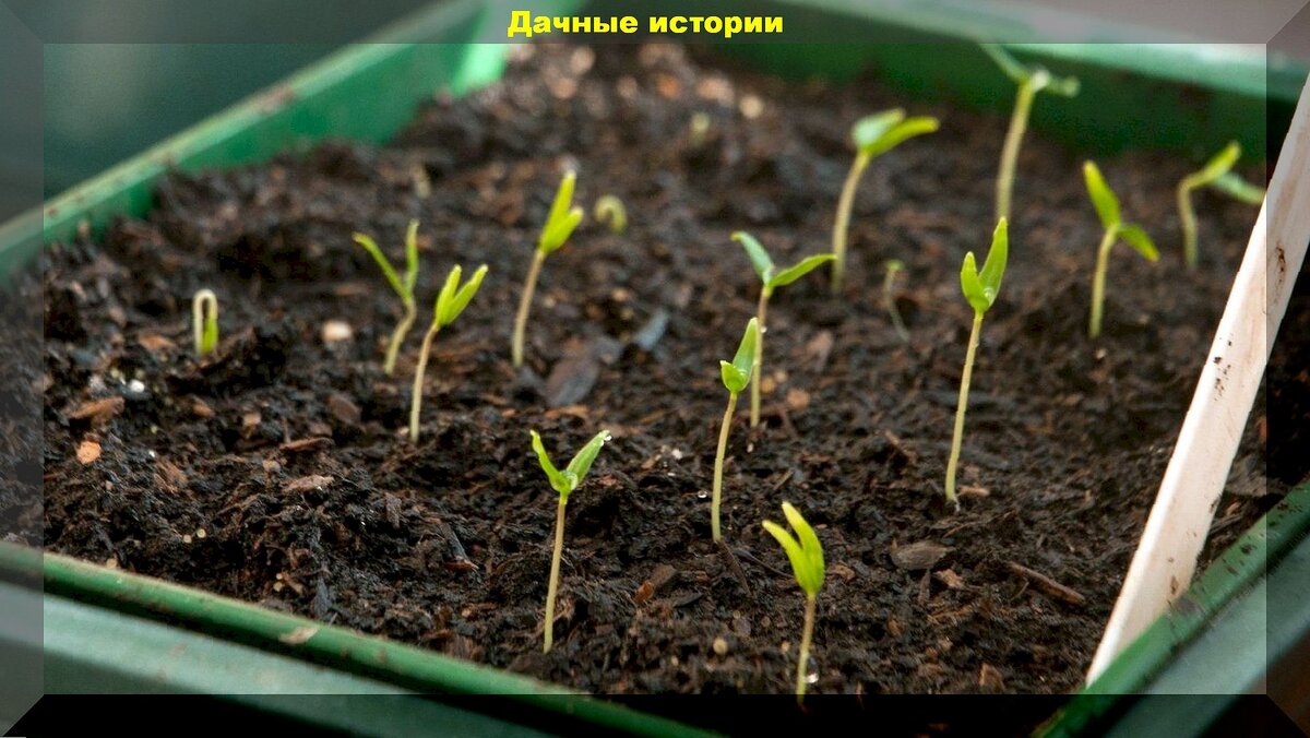 https://vk.com/photo-159774511_457264111