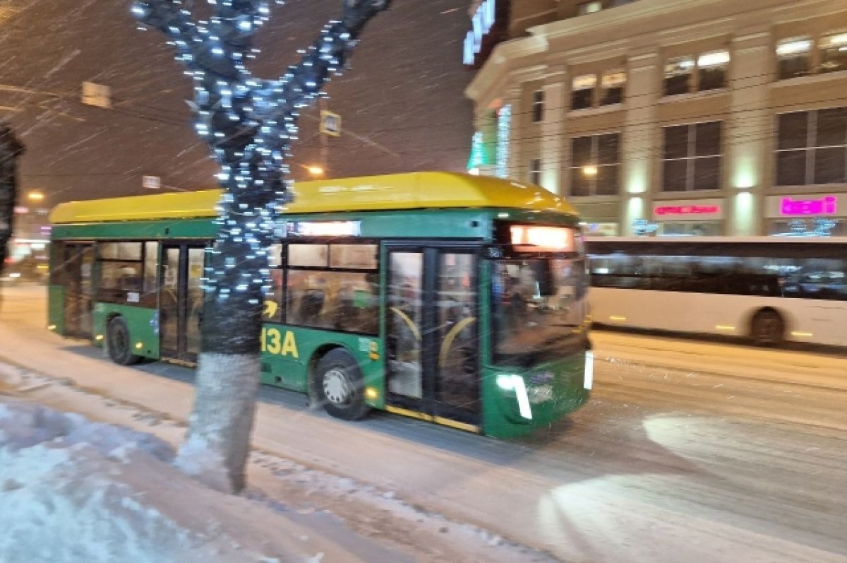    На маршруте №93 в Пензе планируют задействовать автобусы большого класса