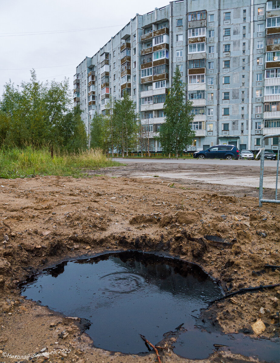 Шок. Нефть бьет ключом прямо в жилом дворе города Ухта) | Северянин | Дзен