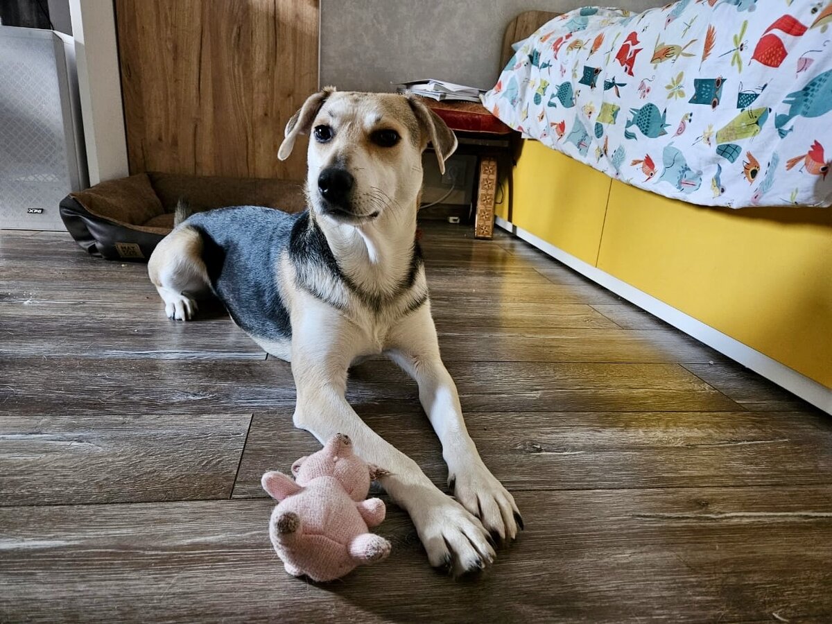 дом музей марка твена в хартфорде штат коннектикут. журнал дом 1995 3. том дом статьи. том дом статьи. том дом статьи.