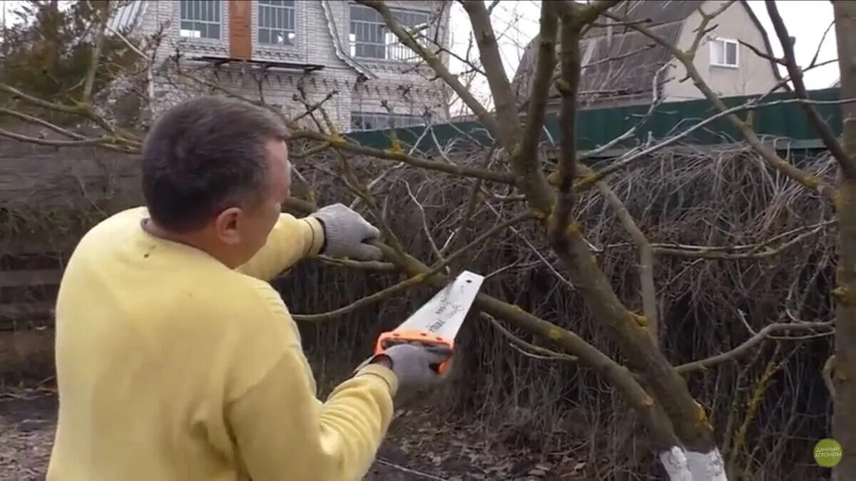 Подпишись на канал, чтобы урожай радовал!