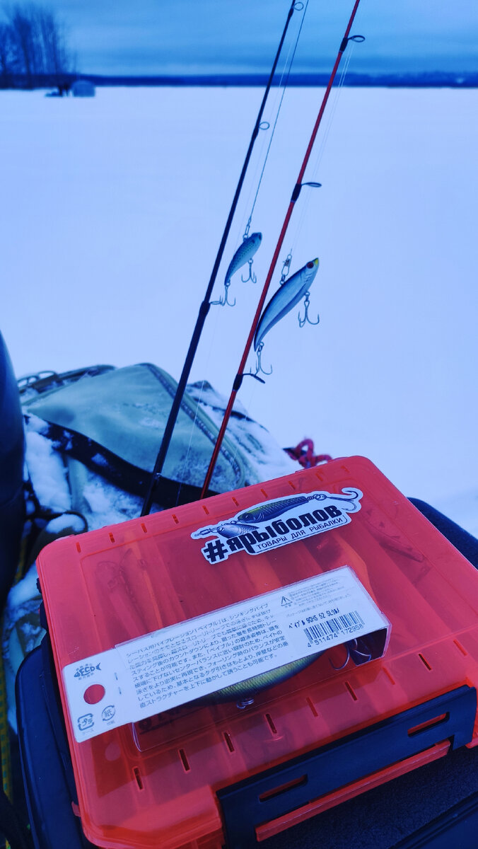 Приманки на которые сегодня будем ловить 