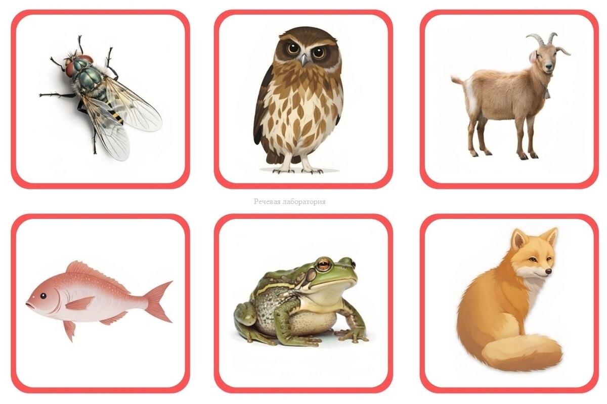 муха, сова, коза, рыба, жаба, лиса