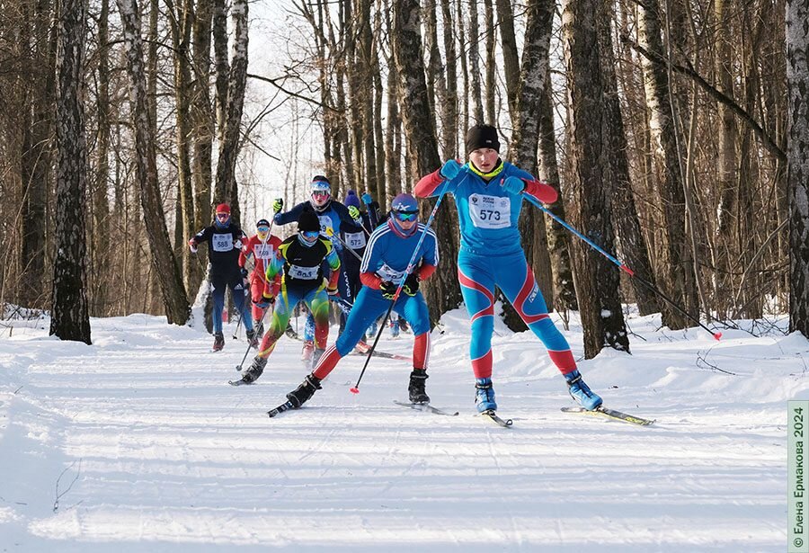 Фото: Елена Ермакова, ИА «Инфо-Сити»