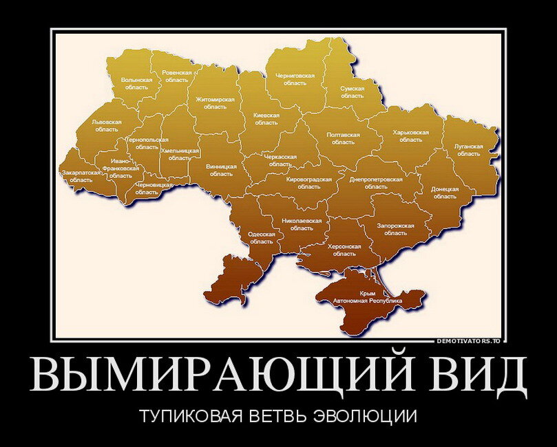 Фото открытых источников.