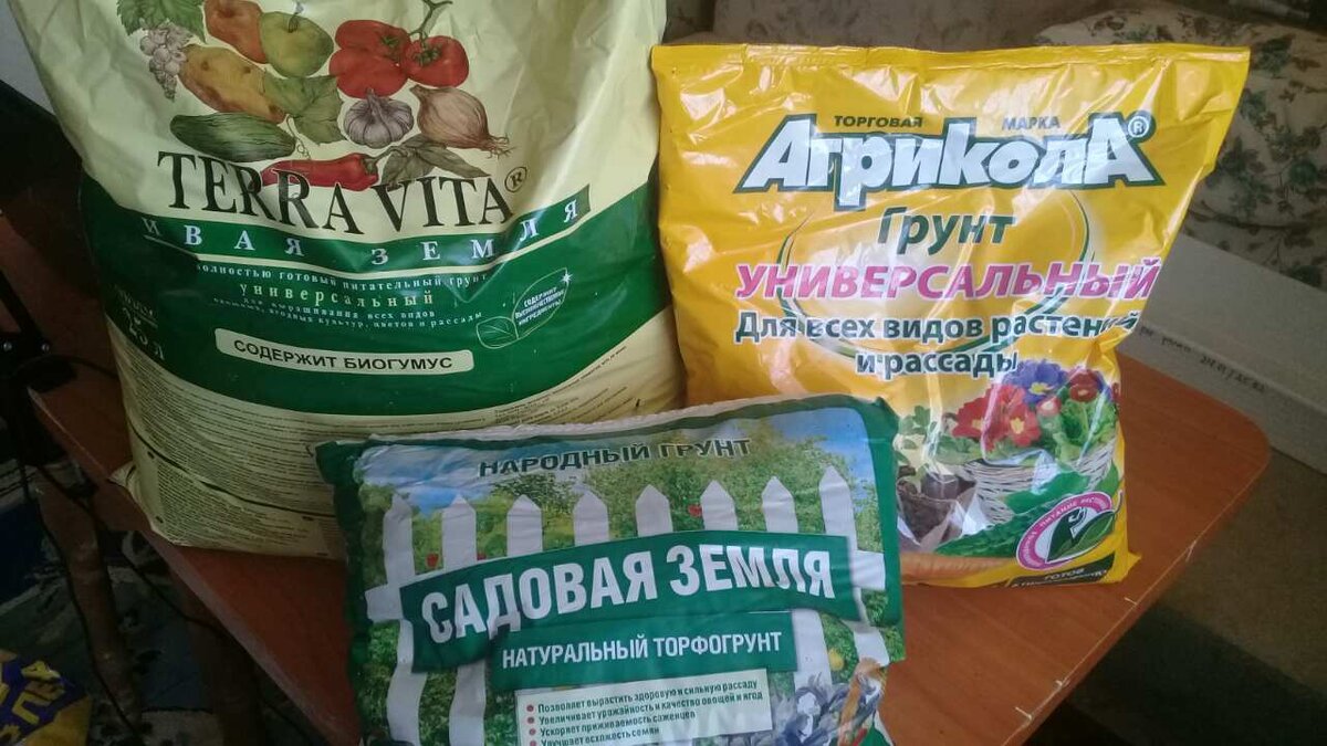    Все познается в сравнении. Поэтому вместе с основным грунтом пробные семена огурцов были посеяны в еще два грунта