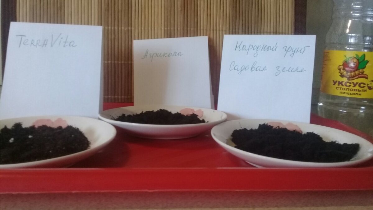    Перед посевом семян небольшие порции всех грунтов пролила столовым уксусом – все примерно одинаково едва «пошипели», без образования пузырьков и других визуальных эффектов