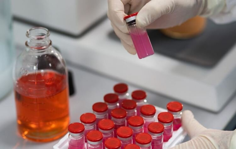    Индийские ветеринарные препараты появятся на российском рынке