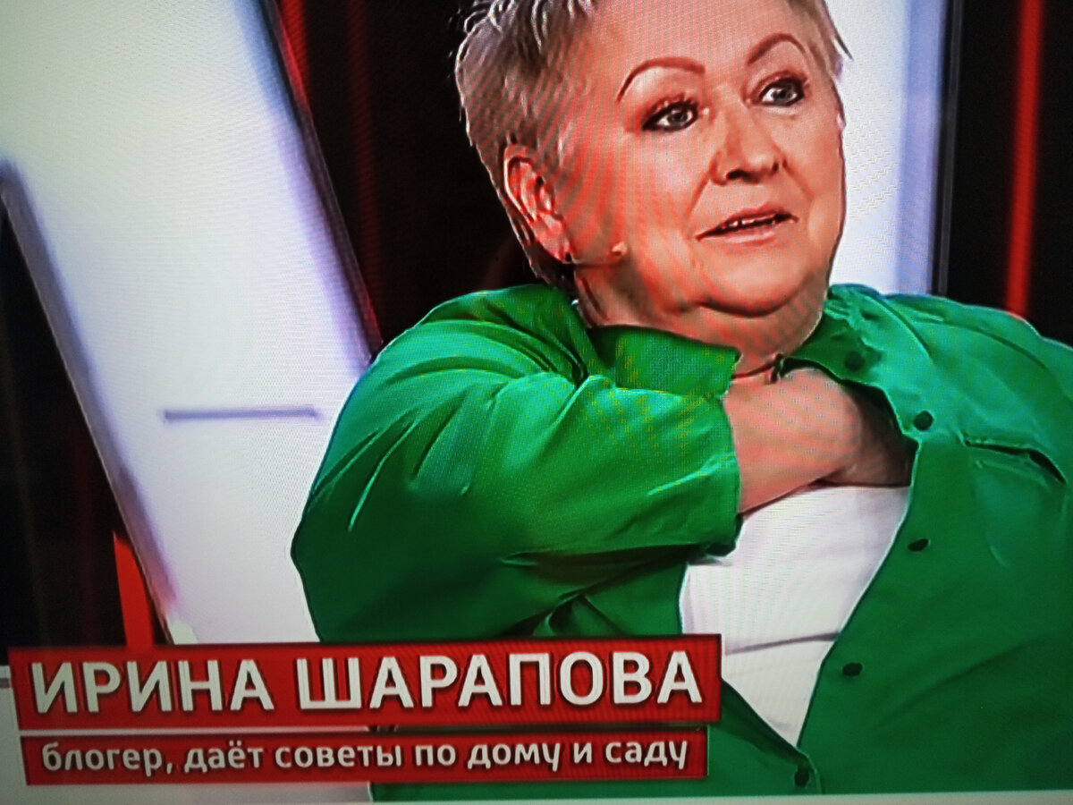 Дети видеоблогеры. Редакторы блогеров. Курсы блогеров. Саша спилберг (видеоблогер). Как стать блоггером приложение.