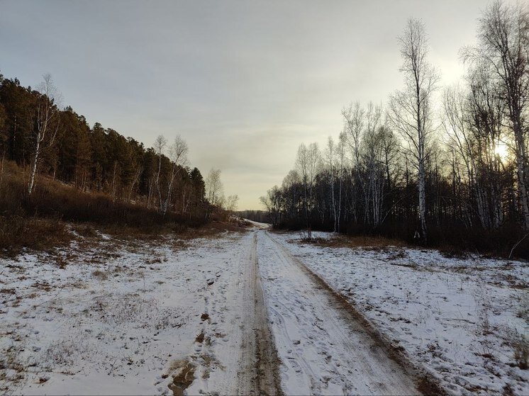На город спускается вечер слова. Слова романса ночь светла. На город спускается вечер текст. Ночь спустилась на опушке собирались спать зверушки. Ночь на землю сошла мы с тобою одни.