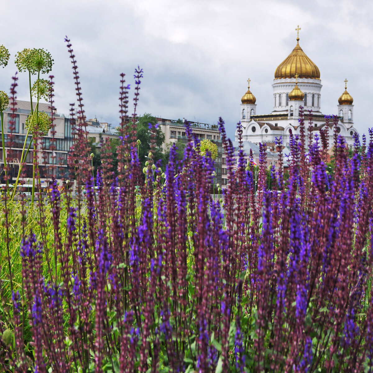 Москва, Храм Христа Спасителя. У храма, построенного в 1837-1860 годы и взорванного в 1931 году, у куполов и кровли была настоящая позолота. 20 пудов золота было пожертвовано  от московского купечества. При воссоздании храма  в 1994-1999 годы покрытие куполов было выполнено с помощью напыления нитрида титана. 