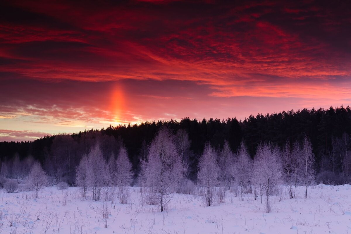 Изображение из открытых источников