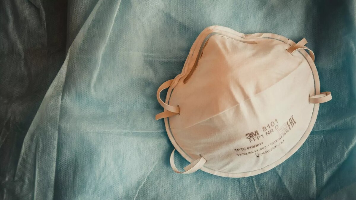     Появление вируса AKPV (Alaskapox) взбудоражило общественность и дало повод вновь заговорить о возможности новой пандемии. Действительно ли она грозит миру и насколько опасна новая инфекция для нижегородцев — в материале NewsNN.