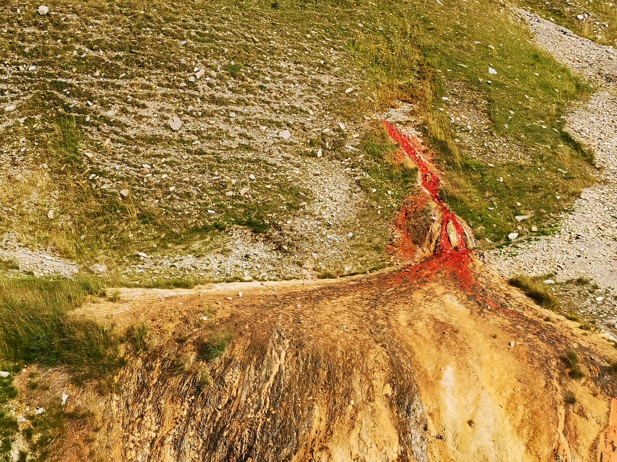 Личный фотоальбом автора