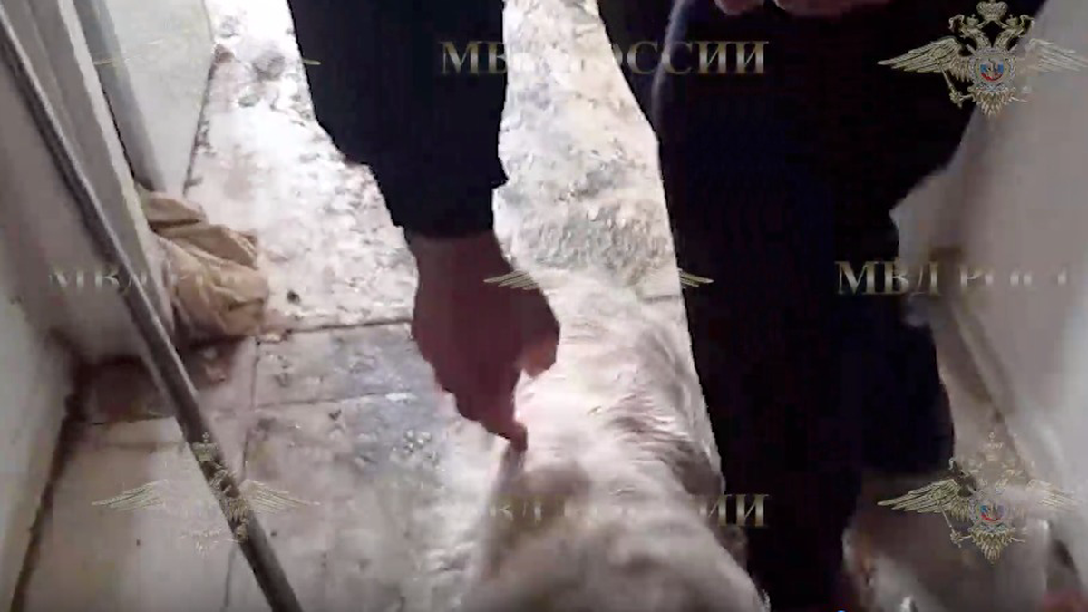    Фото: Telegram / Ирина Волк