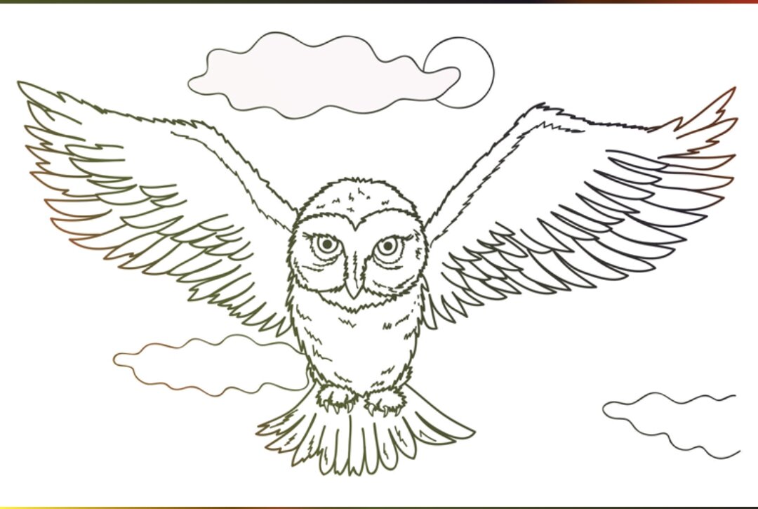Сова 🦉 ( из открытых источников. 