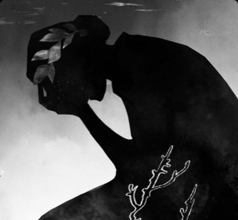 Арт к книге