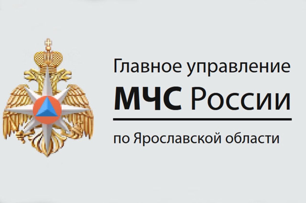    МЧС опубликовало экстренное предупреждение по Ярославлю на 15 февраля