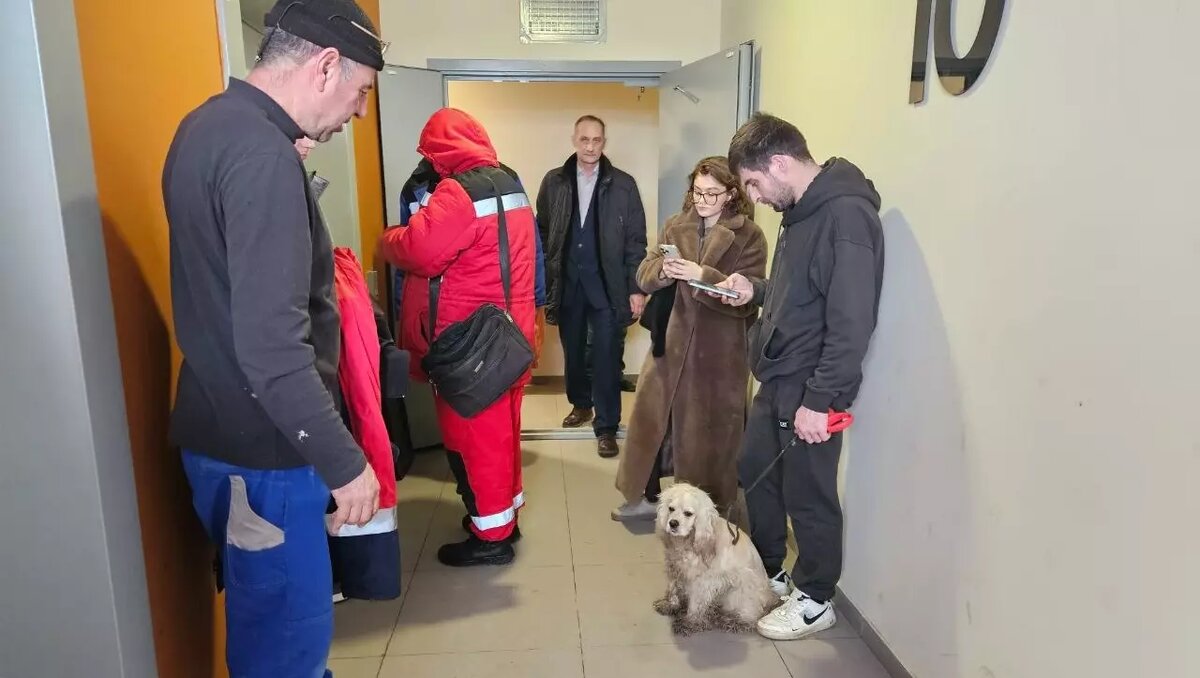 Доброта от всего мира: как в Томилино вызволяли собаку, брошенную в ...