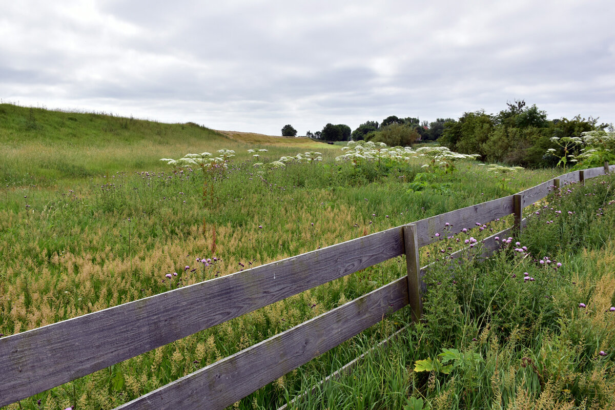    Фото: Ries Bosch / Unsplash.com