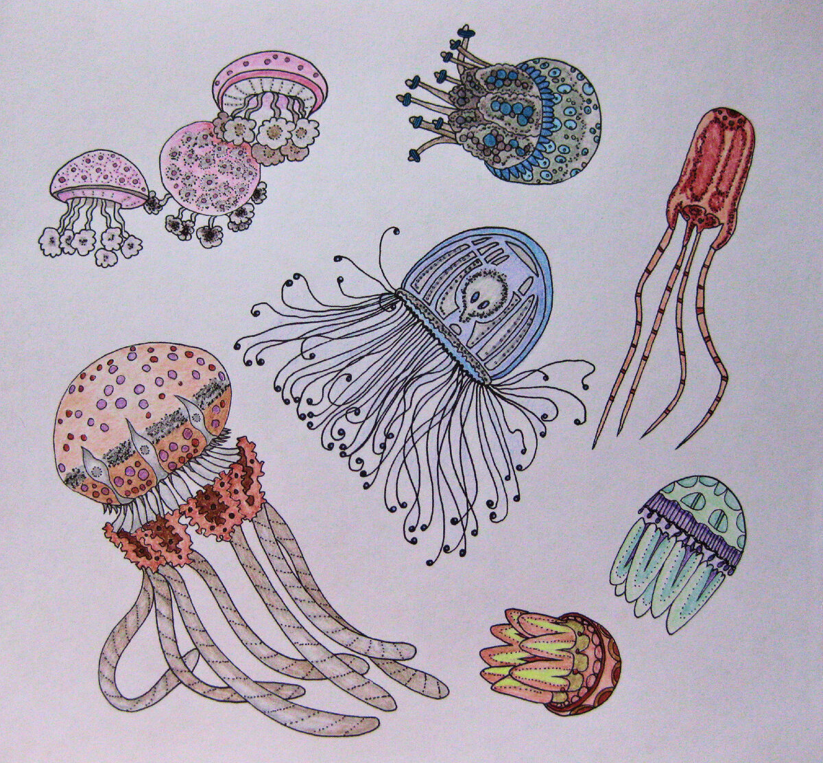 Джессика Палмер/Тайна затерянной бухты