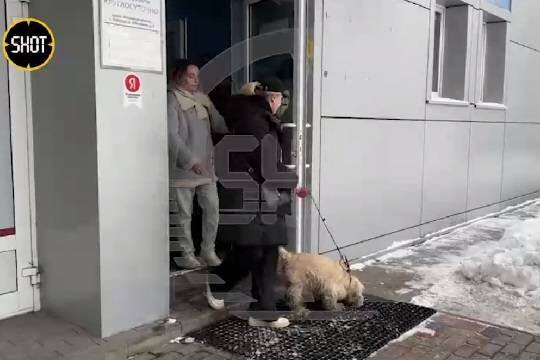    Появились подробности о личности пропавшего хозяина запертого в квартире в Подмосковье спаниеля