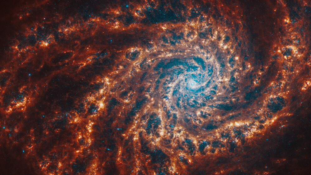    Фото: NASA, ESA, CSA, STScI, Janice Lee (STScI), Thomas Williams (Oxford), and the PHANGS team
