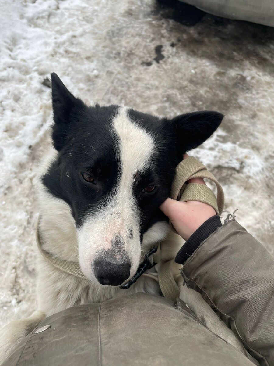 Тогда он был рад, что его нашли