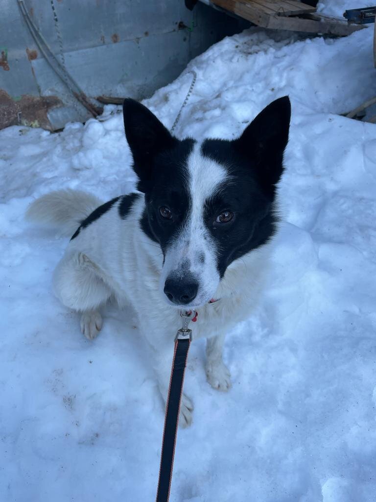 Уже во временном доме