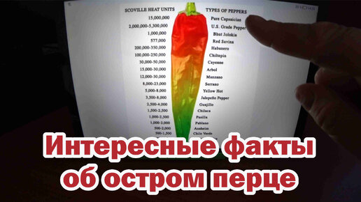 Интересные факты об остром перце