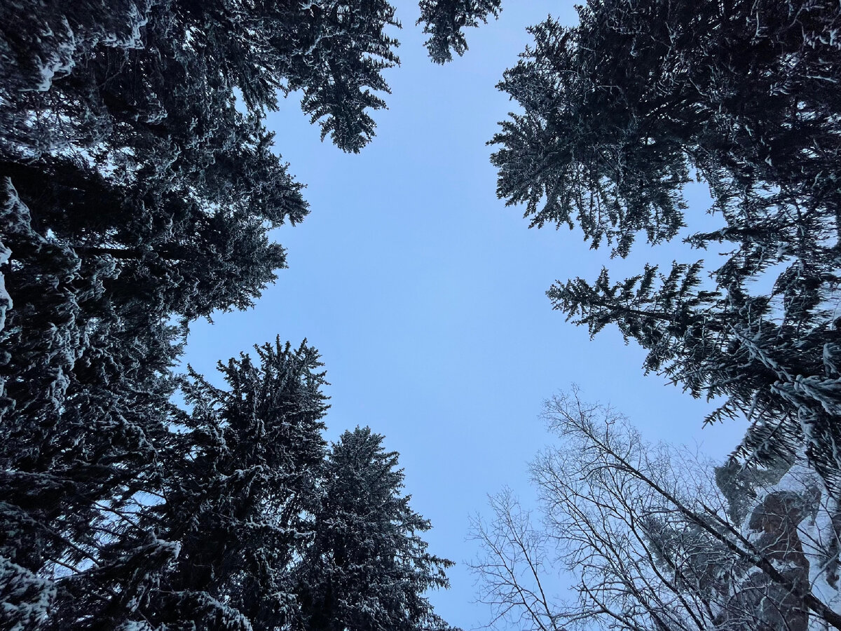 Небо Карелии