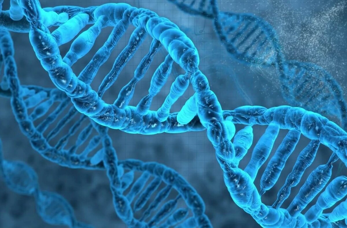 лаборатория вирусы фото. помоги ученым. гранты ученым. помоги ученым. синегнойная палочка симптомы.