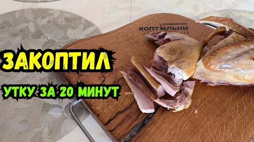 Утка Холодного КОПЧЕНИЯ! Закоптил за 20 минут! Электростатическая коптильня!