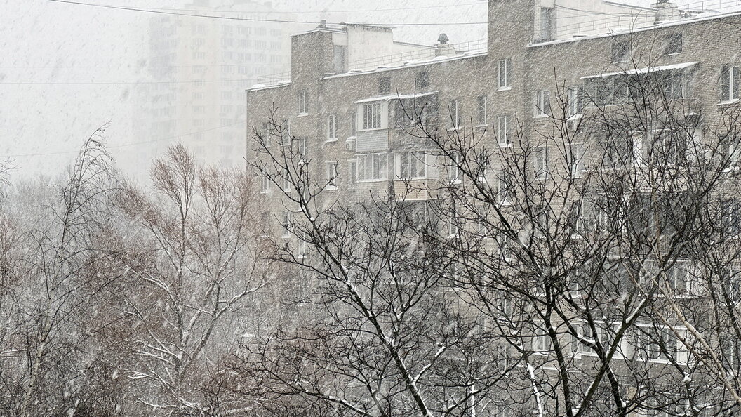    Фото: globallookpress.com