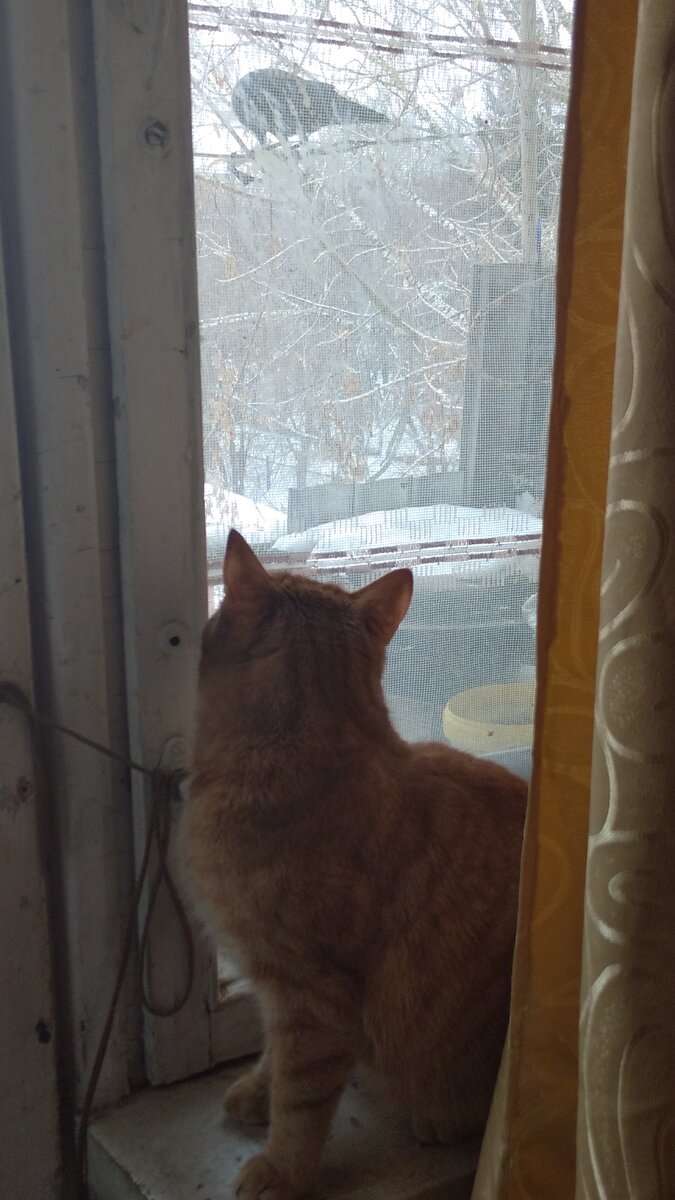 Личное  фото.