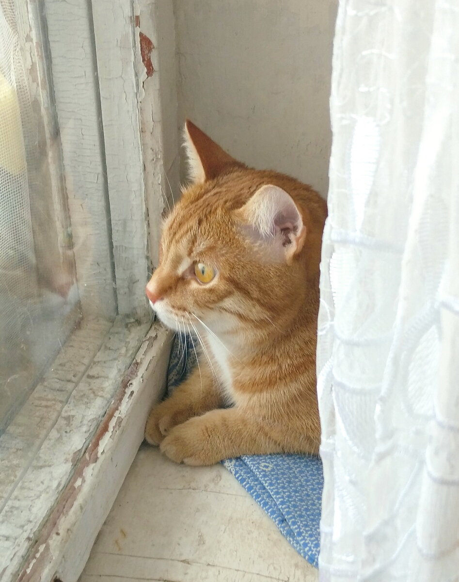 Личное  фото.