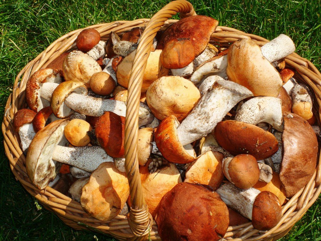 фото из интернета