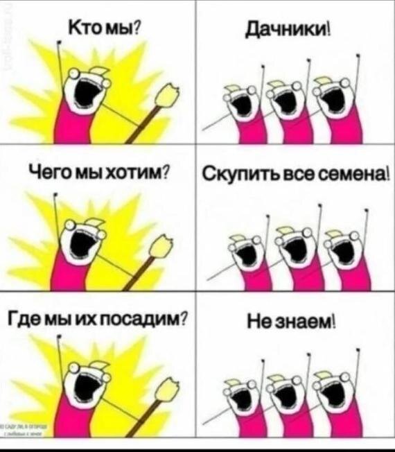 фото с просторов интернета