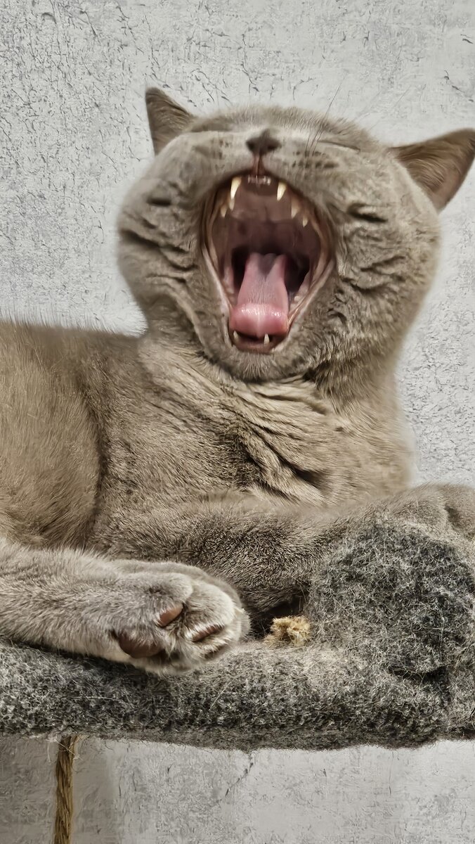 Реакция на статью