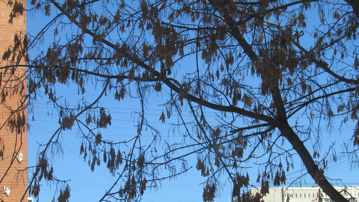 Взгляд на небо из моего окна