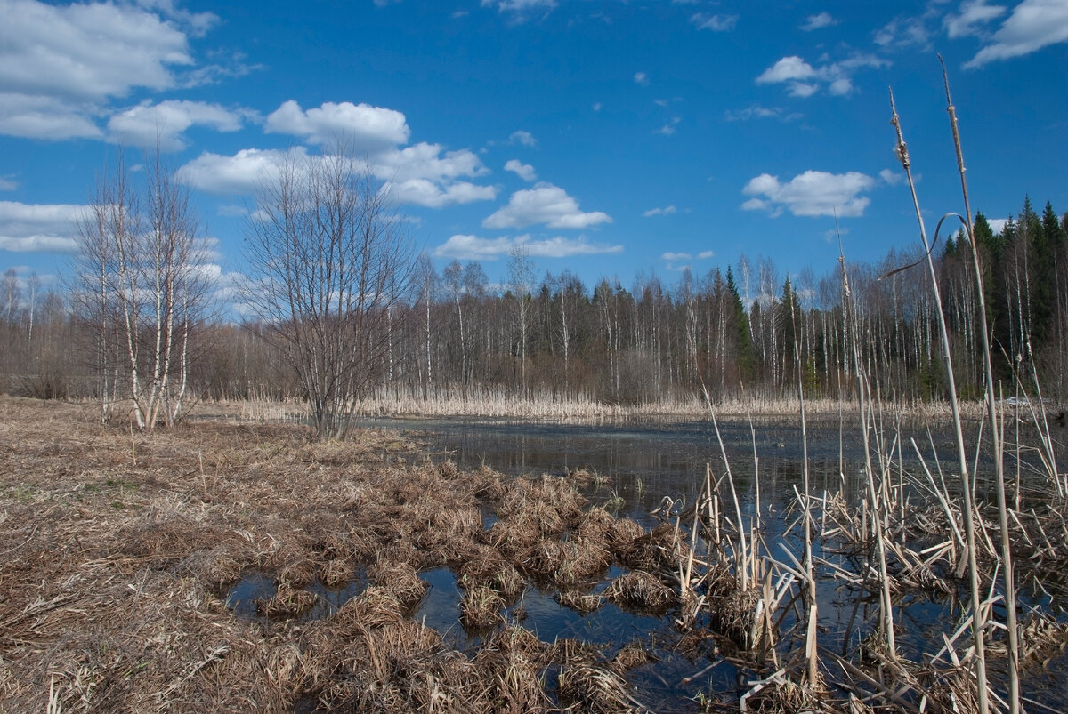 Укажите интервал возрастания функции. Промежутки убывания функции. Определить промежутки возрастания и убывания функции по графику. Укажите промежутки возрастания функции. Промежутки убывания функции.