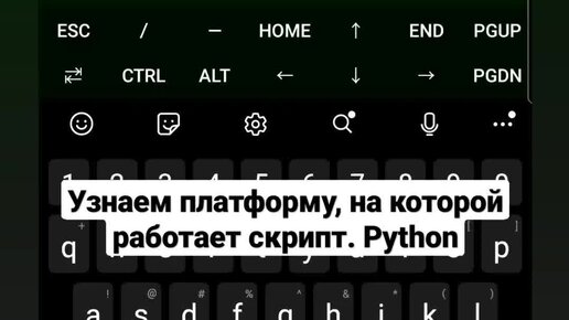 Проверить элемент списка python