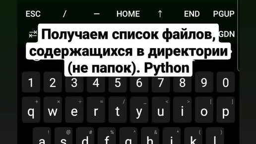 Python список имен