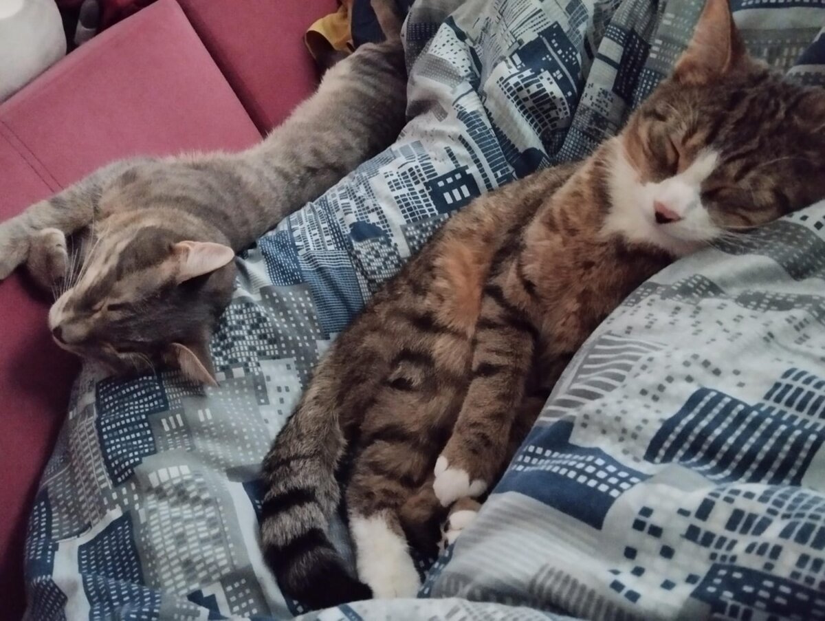 Вдвоем! Все только вдвоем!

