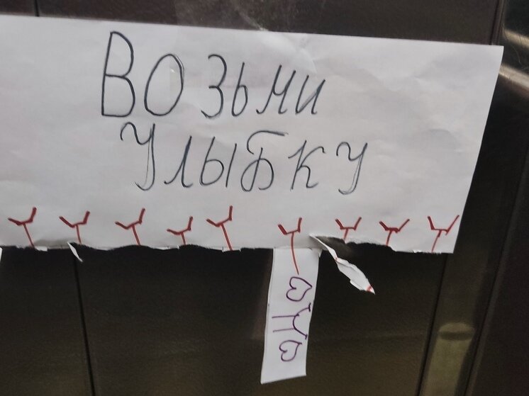     Фото: «МК в Великом Новгороде»