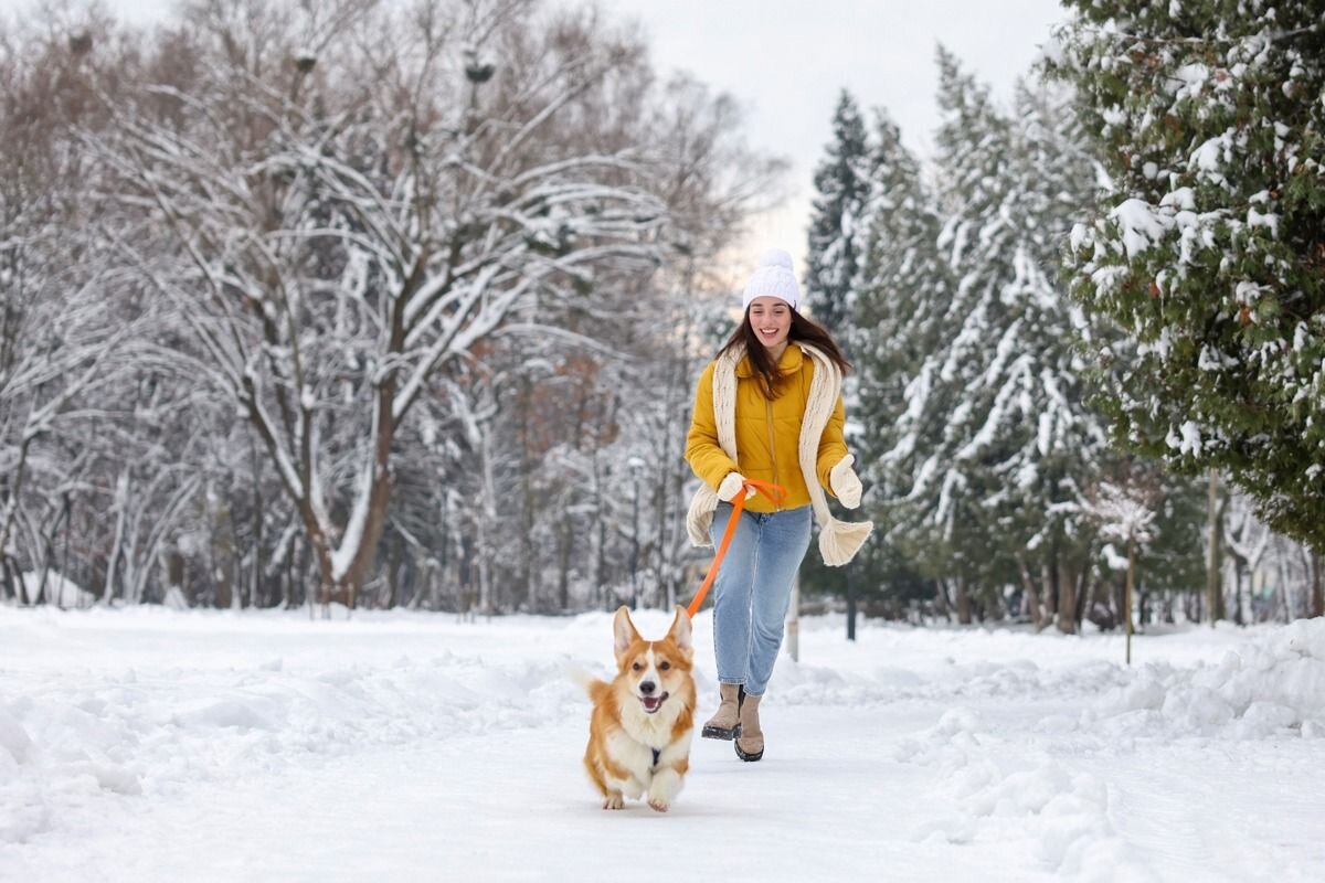 Очень бодрят зимние прогулки, когда на улице мороз. Хочешь не хочешь, но проснешься📷

