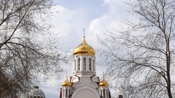    © Sputnik / Максим Богодвид