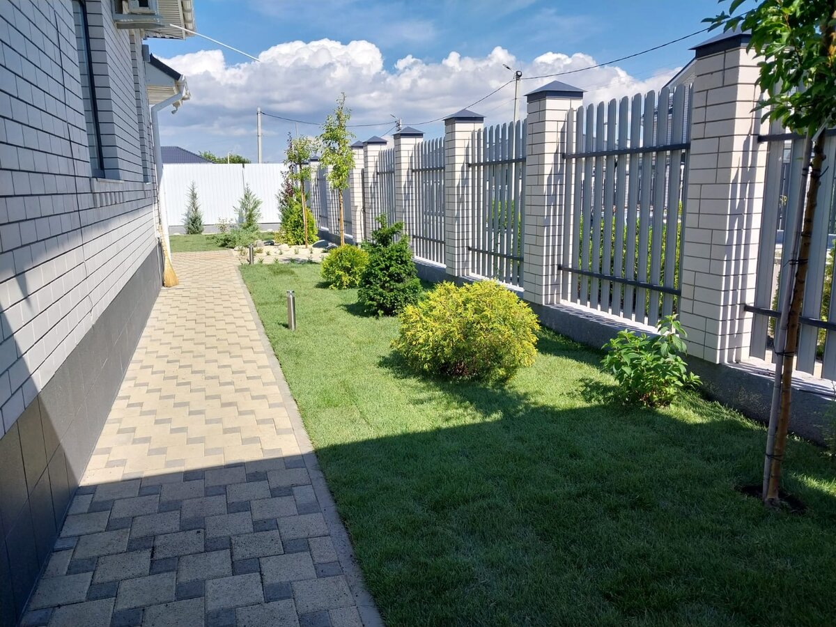 Вот один из примеров, где мы выбрали газон из 100% мятлика. Здесь видны стыки рулонов т.к  был произведен монтаж газона. 