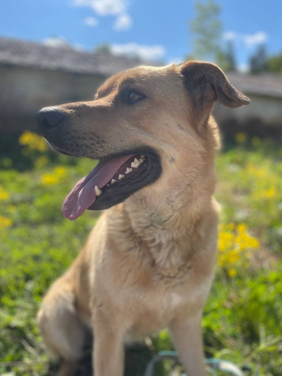 Он большое солнышко